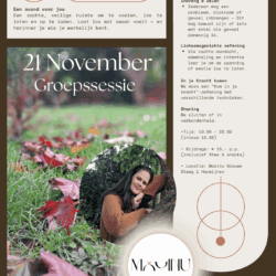 Flyer Mooinu groepssessie november