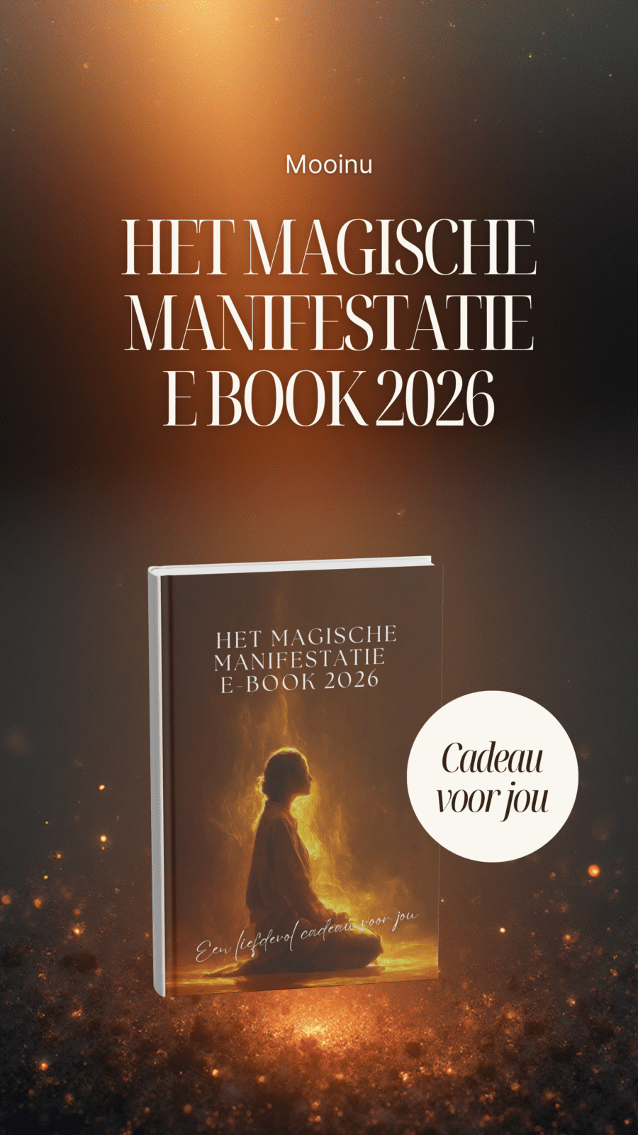 Manifestatie e-book 2026